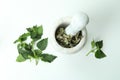 Mortar with nettle on white background, top view