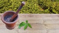 A mortar pastel or `Hamam-Dasta`on a wooden surface in garden used to grind spices and herbal ingredients