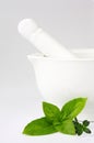 Mortar and Pestle with Basil and Thyme