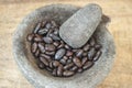 Mortar and Pestle with Cacao Royalty Free Stock Photo