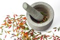 Mortar and Pestle with chili pepper Isolated Royalty Free Stock Photo