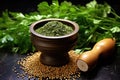 mortar and pestle with coriander seeds on a dark kitchen counter Royalty Free Stock Photo