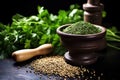 mortar and pestle with coriander seeds on a dark kitchen counter Royalty Free Stock Photo