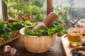 Mortar with pestle, fresh green herbs and different spices on wooden table near window Royalty Free Stock Photo