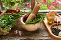 Mortar with pestle, fresh green herbs and different spices on wooden table near window Royalty Free Stock Photo