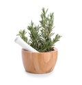 Mortar and pestle with fresh green rosemary on white background Royalty Free Stock Photo