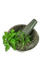 Mortar And Pestle with Fresh Herbs Royalty Free Stock Photo