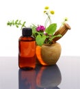 Mortar and pestle with fresh herbs and essential oil bottle Royalty Free Stock Photo