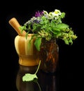 Mortar and pestle with fresh herbs Royalty Free Stock Photo