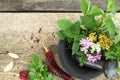 Mortar and pestle with fresh herbs on old wooden background Royalty Free Stock Photo