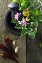 Mortar and pestle with fresh herbs on old wooden background Royalty Free Stock Photo