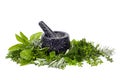 Mortar and Pestle with Fresh Herbs over White Royalty Free Stock Photo