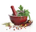 Mortar and pestle with fresh herbs Royalty Free Stock Photo