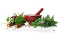 Mortar and pestle with fresh herbs Royalty Free Stock Photo