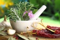 Mortar and pestle with fresh herbs Royalty Free Stock Photo