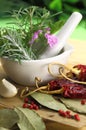 Mortar and pestle with fresh herbs Royalty Free Stock Photo