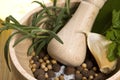 Mortar and pestle, with fresh-picked herbs Royalty Free Stock Photo