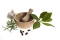 Mortar and pestle, with fresh-picked herbs Royalty Free Stock Photo