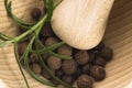 Mortar and pestle, with fresh-picked herbs Royalty Free Stock Photo