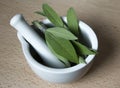 Mortar and pestle with fresh picked herbs sage on wooden background. Sage herb Salvia officinalis, food background Royalty Free Stock Photo