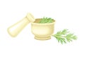 Mortar and Pestle with Fresh Wormwood or Southernwood Plant Vector Composition Royalty Free Stock Photo