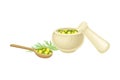 Mortar and Pestle with Fresh Wormwood or Southernwood Plant Vector Composition Royalty Free Stock Photo