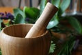 Mortar and Pestle, Herbalism, Naturopathy, Apothecary Flowers Healing Herbs, Dried Flowers, Medicinal, Remedies, Floral, Ancient