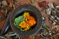 Mortar and Pestle, Herbalism, Naturopathy, Flowers Healing Herbs, Dried Flowers, Medicinal, Autumn, October, Still Life, Floral