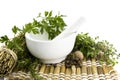 Mortar and pestle with herbs