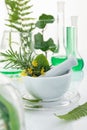 White mortar and pestle with herbs Royalty Free Stock Photo
