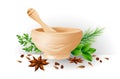 Mortar and pestle, herbs and spices Royalty Free Stock Photo