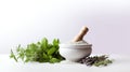 a mortar and pestle with herbs and spices on a white background Royalty Free Stock Photo