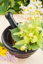 Mortar and pestle with linden flowers, chamomille and milfoil