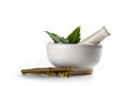 Mortar and pestle with medicinal neem leaves with twigs Royalty Free Stock Photo