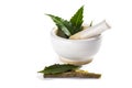 Mortar and pestle with medicinal neem leaves on white background Royalty Free Stock Photo