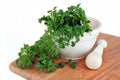 Mortar, Pestle and Parsley Royalty Free Stock Photo