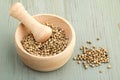 Mortar and pestle with white pepper Royalty Free Stock Photo