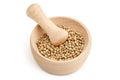 Mortar with white pepper Royalty Free Stock Photo