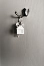 Mortgage concept. Key with house keychain. Real estate, moving home or renting property.