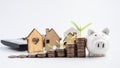 Mortgage loaning real estate property with loan money bank concept,plant growing on coins