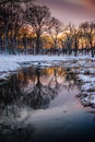 Morton Arboretum in Winter