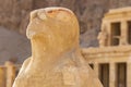 Mortuary Temple of Hatshepsut, Djeser-Djeseru: `Holy of Holies`, located in Upper Egypt. Royalty Free Stock Photo