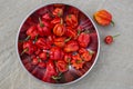 Moruga Scorpion - Chili Peppers Royalty Free Stock Photo