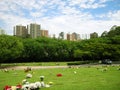 Morumbi Cemetery