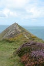 Morwenstow coastline,Cornwall Royalty Free Stock Photo