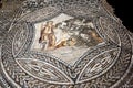 The Mosaic of Bacchus encountering the sleeping Ariadne from the House of the Ephebe at the ancient site of Volubilis in Morocco.
