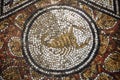 Mosaic in Bardo National Museum in Tunis, Tunisia Royalty Free Stock Photo