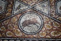 Mosaic in Bardo National Museum in Tunis, Tunisia Royalty Free Stock Photo