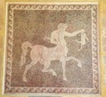 Mosaic of a Centaur holding a rabbit in the Museum of Rhodes, Gr
