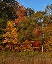 Mosaic of Colour in Wilmot Township